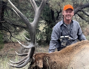 A nonresident Wyoming hunter with his six point trophy bull elk wearing a fluorescent orange cap and KUIU binocular case